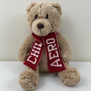 Aeropostale Winter Chill Aero Knit Scarf Teddy Bear Plush Stuffed Animal Toy